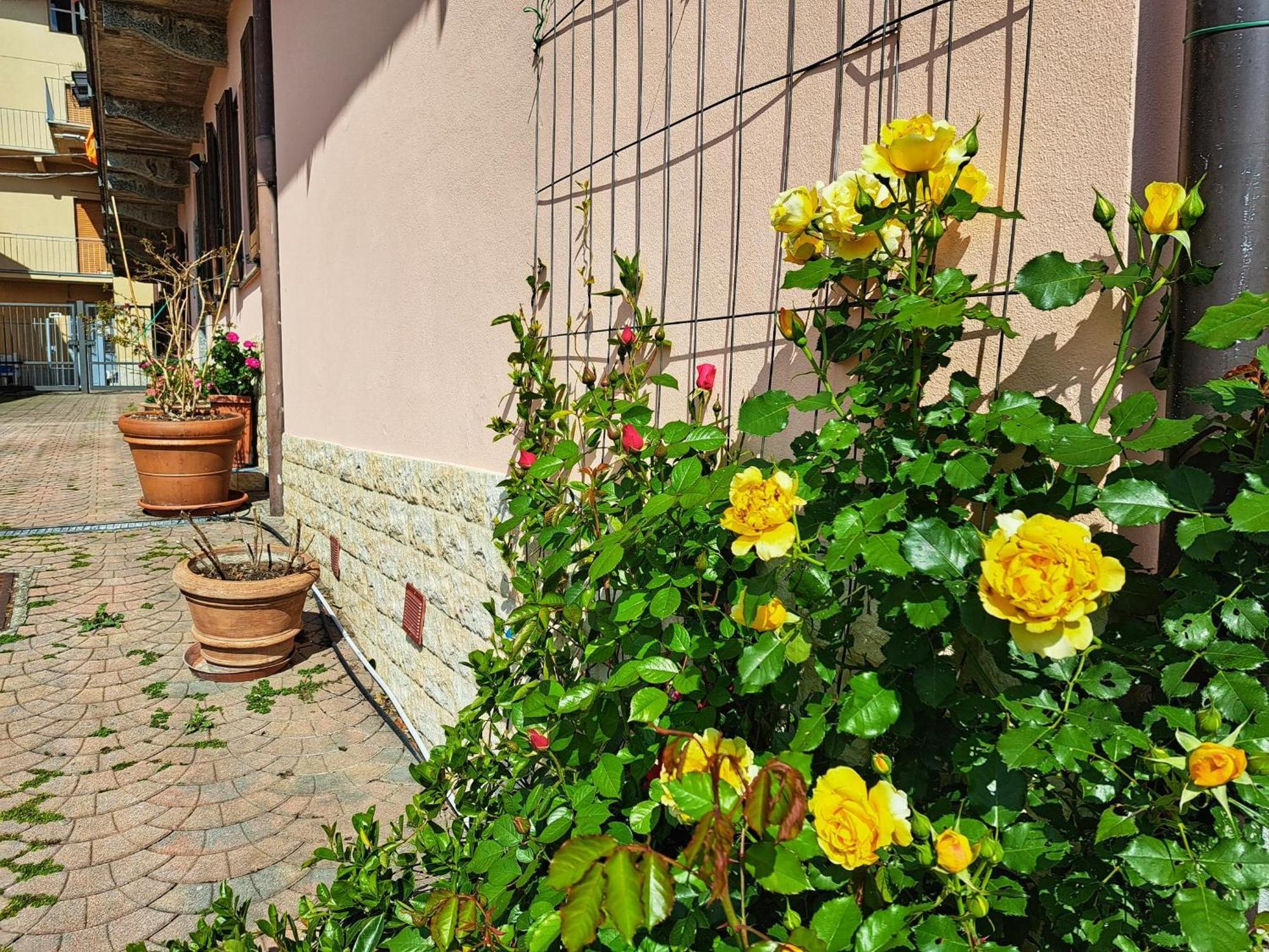 Le Rose Sul Lago Pescate Zewnętrze zdjęcie